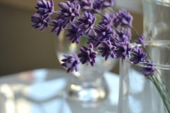 violet
